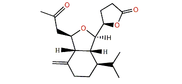 Cladieunicellin W